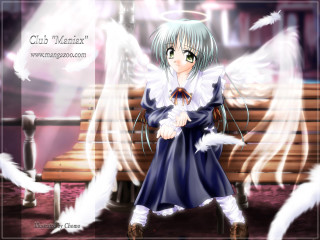 Angel wings blue dress bird - white wing free wallpaper