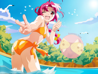 Woman bikini water ball bird - her hand and a bird free wallpaper for desktop