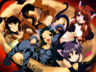 Anime girls banana cats kimukawa - a banana free wallpaper
