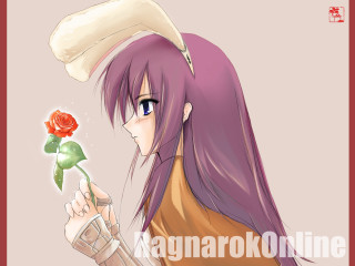 Purple hair rose flower anime - a rose free wallpaper