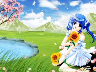 Girl flower field blue hair - a grass field free wallpaper