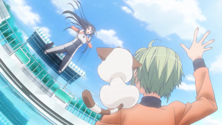 Man woman cat sky building - action pose free wallpaper