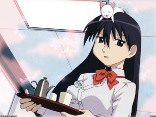 Girl cat tray bow indoors - her hand and a cat free wallpaper