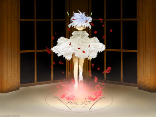 Anime girl white dress cherry 2 - red petal free wallpaper