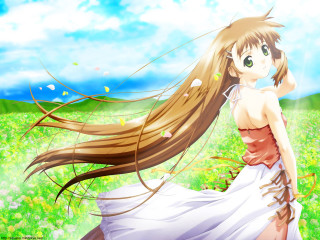 Girl dress flower field wind - her long hair free wallpaper