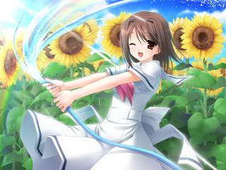 Girl sunflower field white dress 2 - cheerful free wallpaper