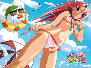 Woman beach bikini bird sky - her head free wallpaper