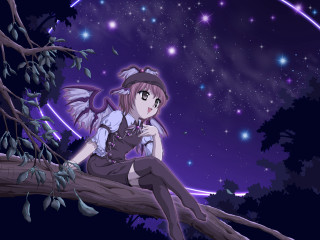 Girl tree branch hat wings - night sky free wallpaper for desktop