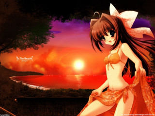 Sunset beach anime woman cat - a sunset free wallpaper