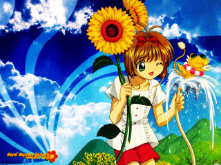 Girl sunflower blue sky cat - a girl holding free wallpaper