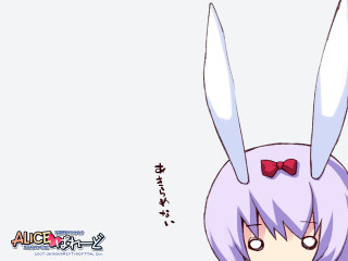 Purple hair bunny ears angelic - flat free wallpaper