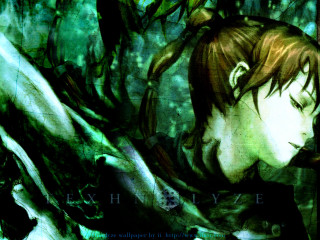 Bearded man green shirt woods - a green shirt free wallpaper for desktop