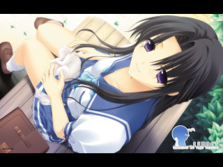 Chizuko yoshida kyoto plant suitcase - a suitcase in front free wallpaper