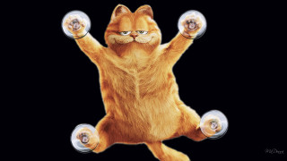 Cat yoga dumbbells arabesque planet - one paw free wallpaper
