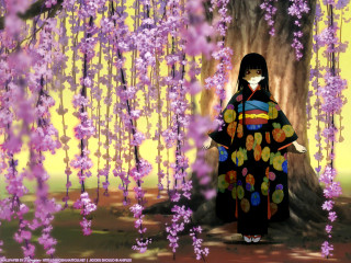Kimono woman tree purple flower - under a tree free wallpaper