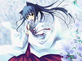 Woman white dress anime hakama - a red ribbon free wallpaper