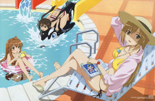 Poolside summer girls cat dog - a chair next free wallpaper