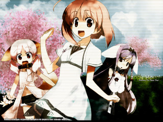 Three anime girls cherry blossoms 2 - three anime girl free wallpaper