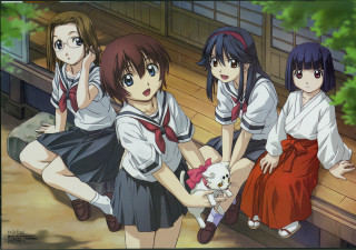 Group girls bench cats outdoors - their hand and a cat free wallpaper