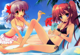 Anime girls beach bikini flower - a banana free wallpaper