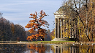 Large tree lake park tall - a dome free wallpaper