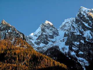 Snowy mountain range trees foreground - the background and trees free wallpaper