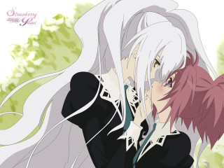 White haired woman pink haired - a white tail free wallpaper