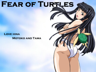 Fear of turtles woman bikini - her back free wallpaper for desktop