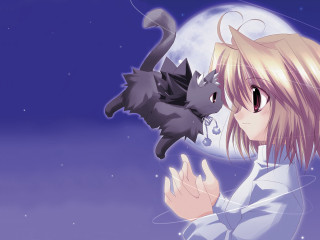 Girl cat moon starry night - a cat free wallpaper for desktop