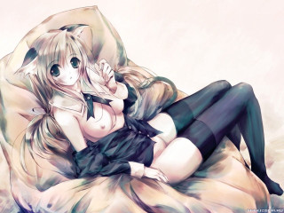 Woman cat lying anime fox - her head and a cat free wallpaper