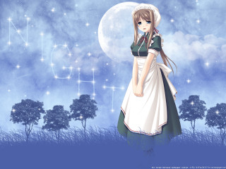 Girl dress fullmoon trees fireworks - a girl in a dress free wallpaper