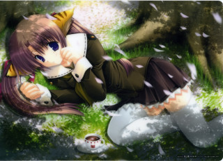 Alice prin lying cat bird - net art free wallpaper for desktop