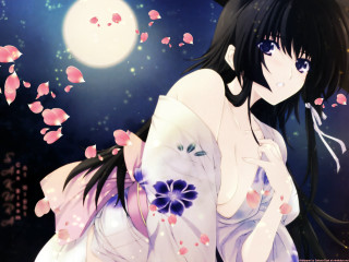 Moonlight cherry blossoms anime kimono - pink petal free wallpaper