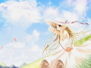 Woman dress hat field bird - overhead in the sky free wallpaper