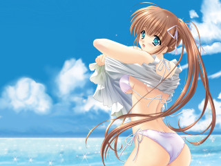 Beach woman bikini blowing hair - the wind free wallpaper