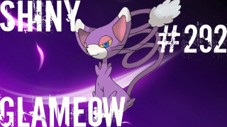 Purple cat white tail name - cat free wallpaper