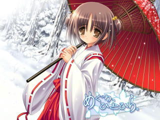 Woman umbrella snow trees hakama - the background in the background free wallpaper