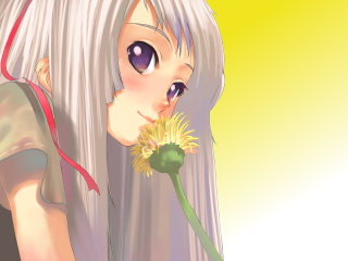 White haired girl flower yellow - long white hair holding free wallpaper