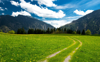 Dirt road green field mountains 5 - a dirt road free wallpaper