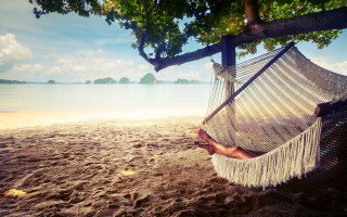 Hammock tree beach ocean sunset - a hammock free wallpaper