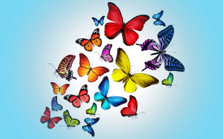 Colorful butterflies flying sky vivid - vivid free wallpaper