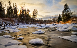 River snow trees cloudy sky - a river free wallpaper
