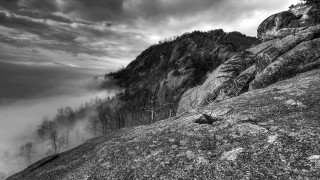 Mountain fog trees blackwhite landscape - digital photography free wallpaper