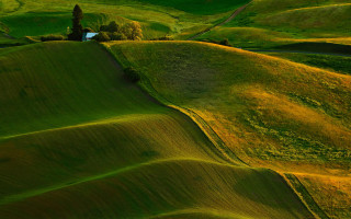 Green field tree house pond - a small house free wallpaper