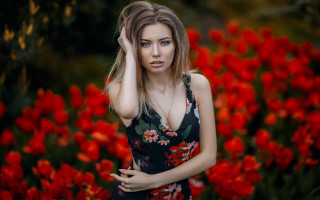 Woman floral dress field red - a floral dress free wallpaper