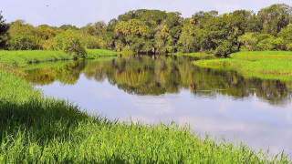 River grassy bank trees blue 2 - charles ragland bunnell free wallpaper