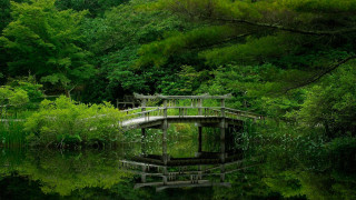 Bridge water trees bench nature - eizō katō free wallpaper