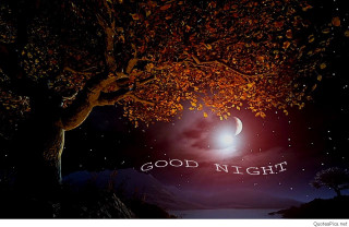 Night tree moon good night - the middle of the picture free wallpaper