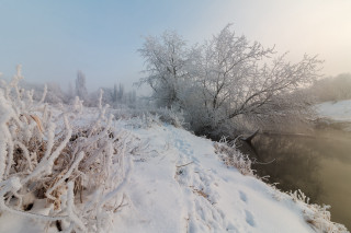 Winter river snow trees forest - snow next free wallpaper