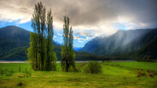 Grassy field trees lake mountains - the background and a lake in the foreground free wallpaper